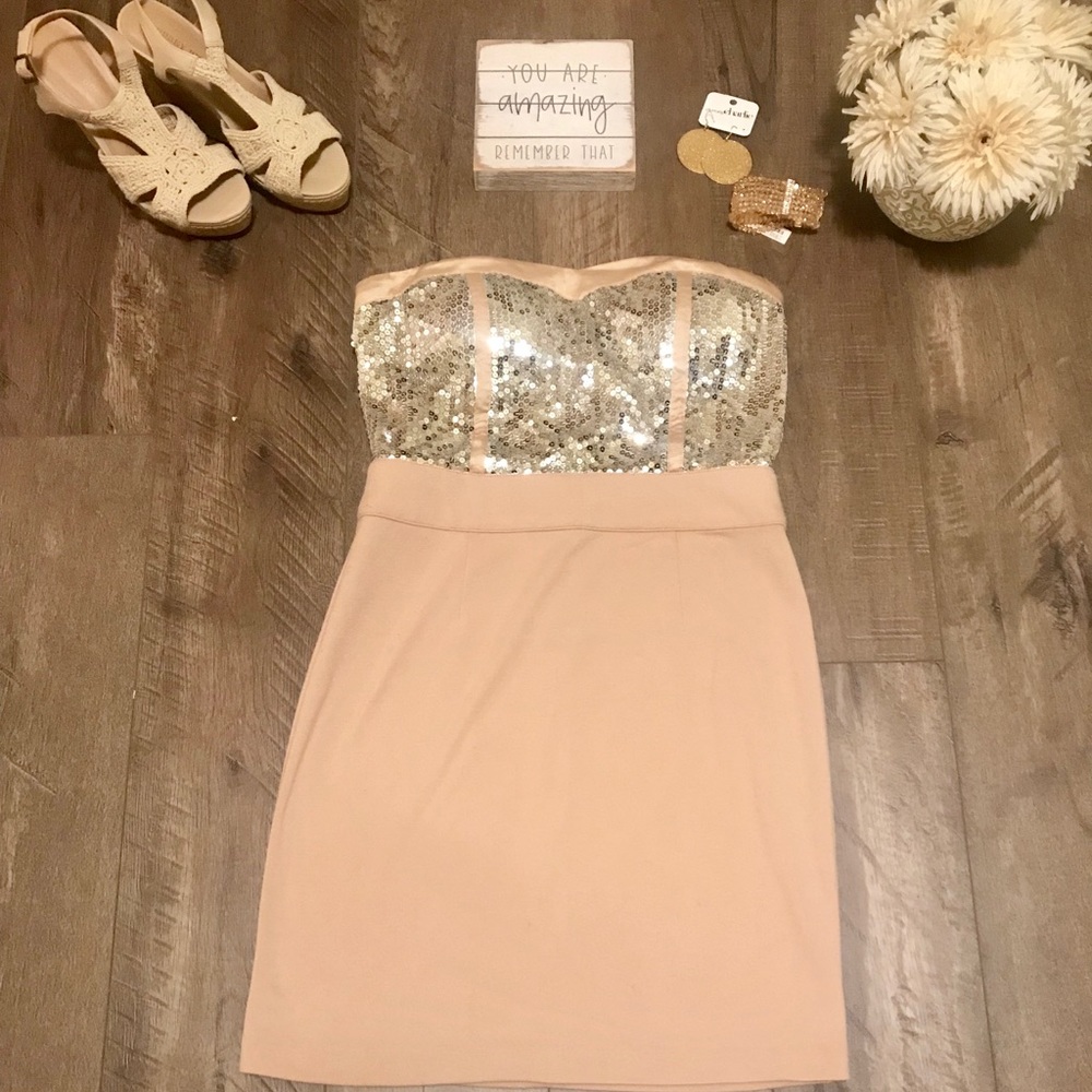 TCEC sequin mini dress. Size  Medium.